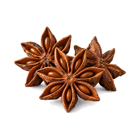 نجمة اليانسون